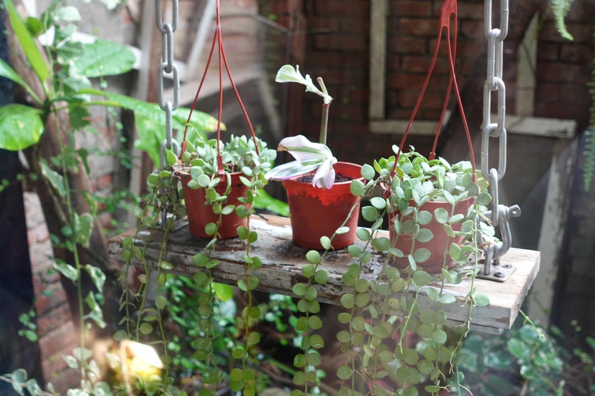 Fuqi Hostel - Heping Tainan Luaran gambar